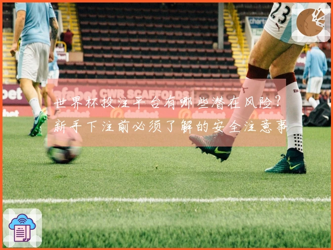 世界杯投注平台有哪些潜在风险？新手下注前必须了解的安全注意事项
