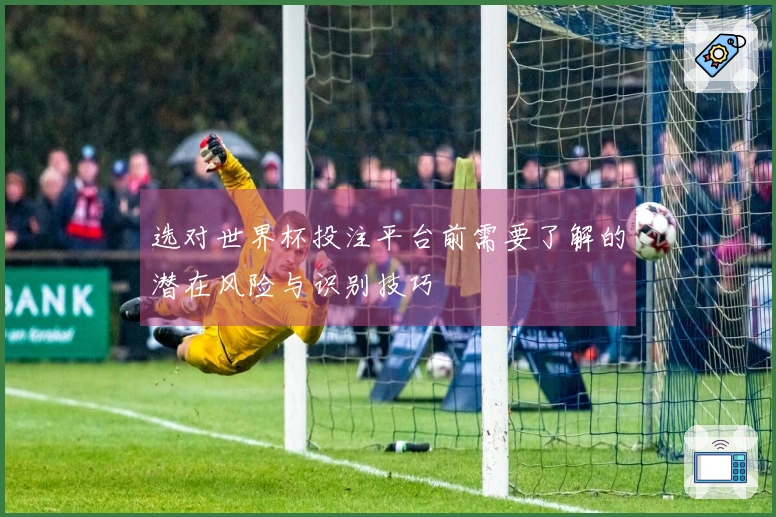 选对世界杯投注平台前需要了解的潜在风险与识别技巧