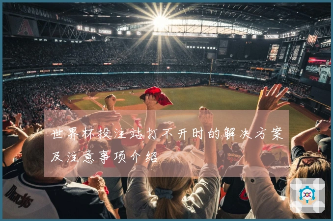 世界杯投注站打不开时的解决方案及注意事项介绍