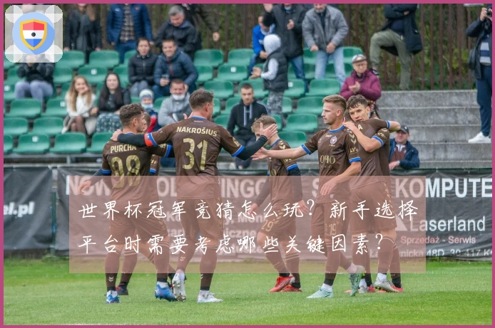 世界杯冠军竞猜怎么玩？新手选择平台时需要考虑哪些关键因素？