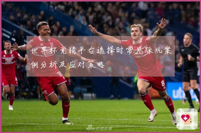 世界杯竞猜平台选择时常见踩坑案例分析及应对策略
