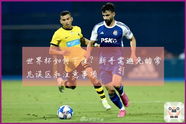 世界杯如何下注？新手需避免的常见误区和注意事项