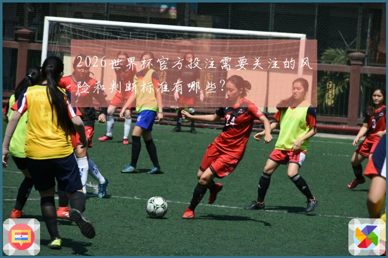 2026世界杯官方投注需要关注的风险和判断标准有哪些？