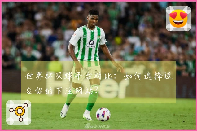 世界杯买球平台对比：如何选择适合你的下注网站？