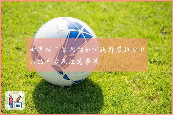 世界杯下注网站如何选择最适合自己的平台及注意事项