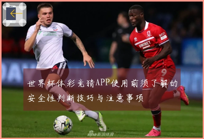 世界杯体彩竞猜APP使用前须了解的安全性判断技巧与注意事项