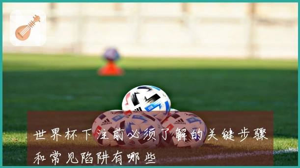 世界杯下注前必须了解的关键步骤和常见陷阱有哪些