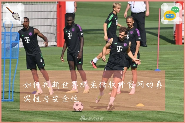 如何判断世界杯竞猜软件官网的真实性与安全性