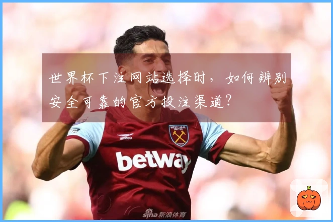 世界杯下注网站选择时，如何辨别安全可靠的官方投注渠道？