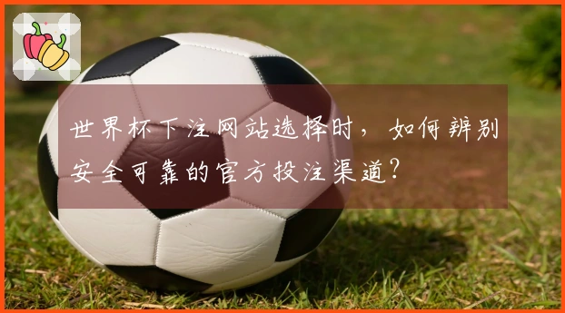 世界杯下注网站选择时，如何辨别安全可靠的官方投注渠道？