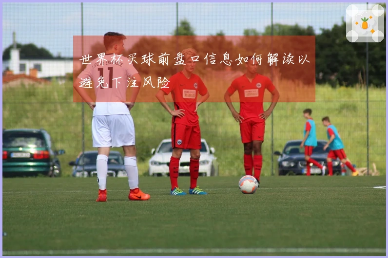世界杯买球前盘口信息如何解读以避免下注风险