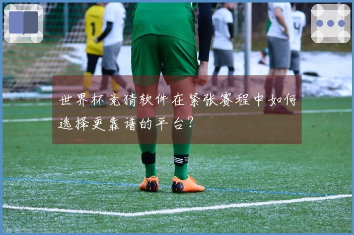 世界杯竞猜软件在紧张赛程中如何选择更靠谱的平台？