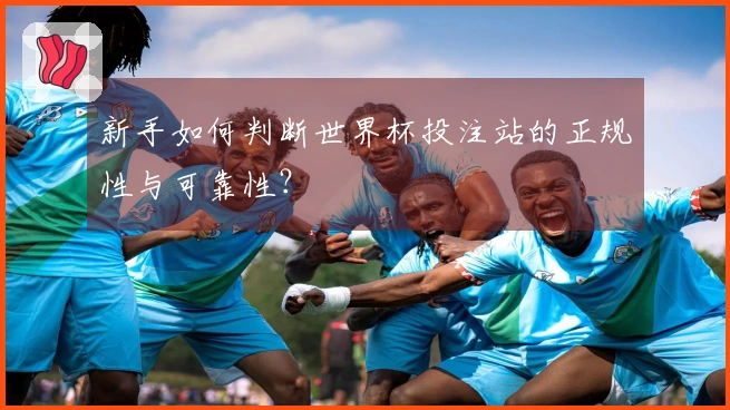 新手如何判断世界杯投注站的正规性与可靠性？