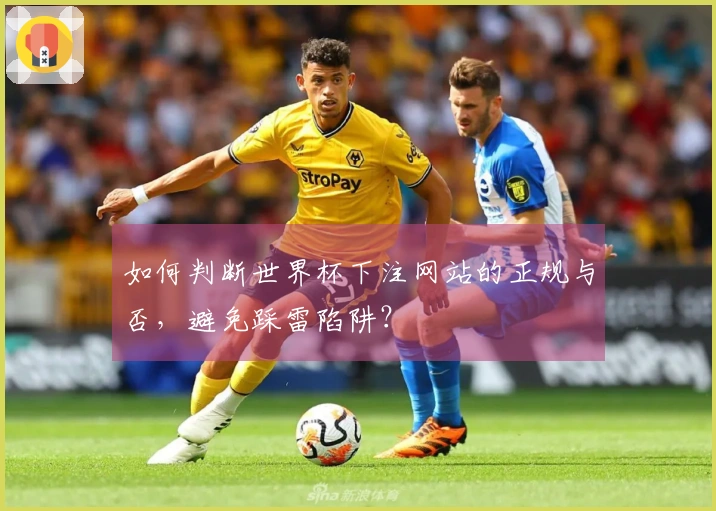 如何判断世界杯下注网站的正规与否，避免踩雷陷阱？