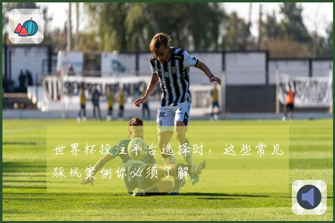 世界杯投注平台选择时，这些常见踩坑案例你必须了解