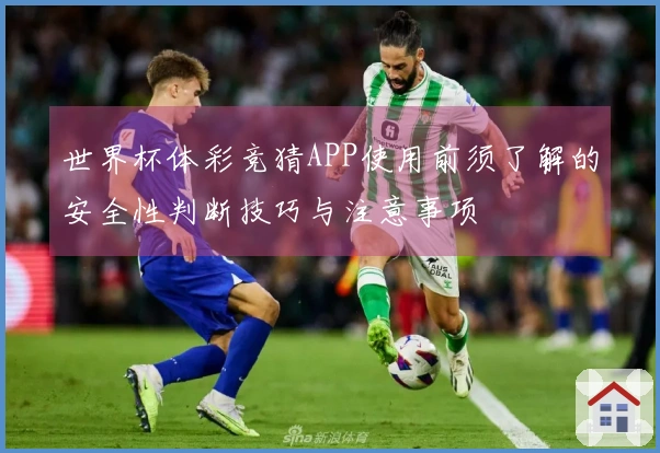 世界杯体彩竞猜APP使用前须了解的安全性判断技巧与注意事项