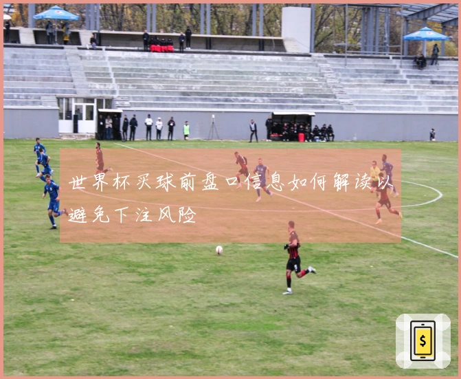 世界杯买球前盘口信息如何解读以避免下注风险