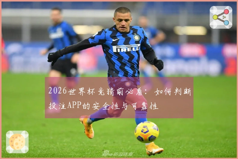 2026世界杯竞猜前必看：如何判断投注APP的安全性与可靠性