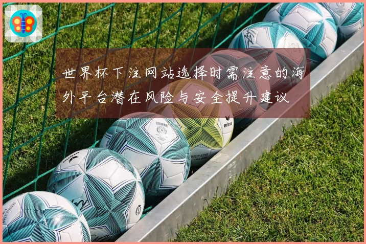 世界杯下注网站选择时需注意的海外平台潜在风险与安全提升建议