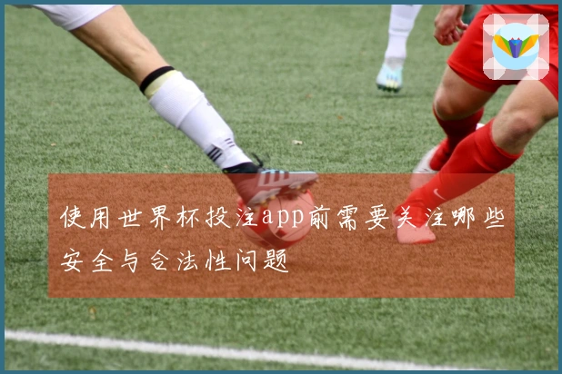 使用世界杯投注app前需要关注哪些安全与合法性问题