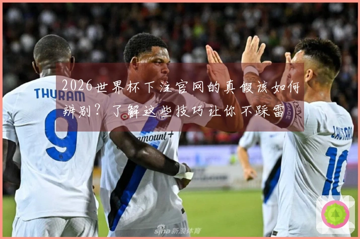 2026世界杯下注官网的真假该如何辨别？了解这些技巧让你不踩雷