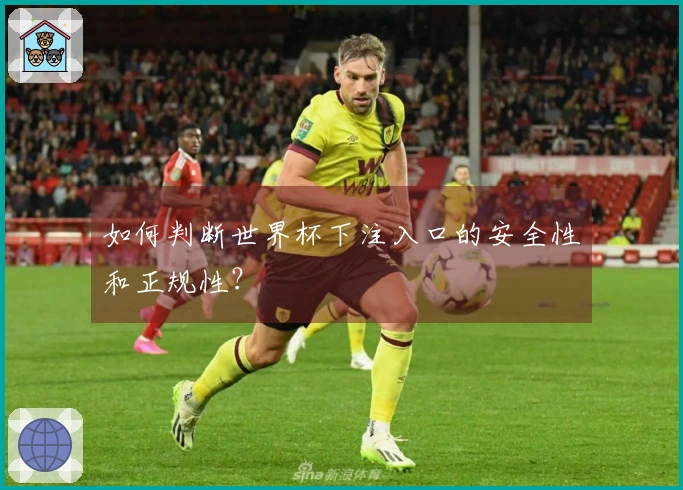 如何判断世界杯下注入口的安全性和正规性？