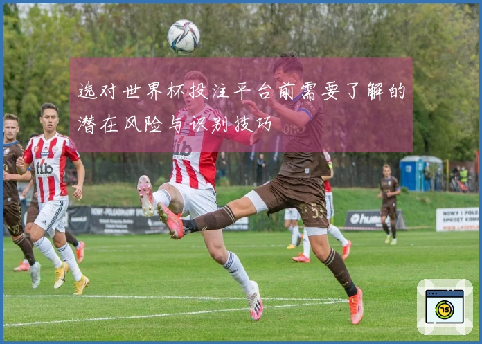 选对世界杯投注平台前需要了解的潜在风险与识别技巧
