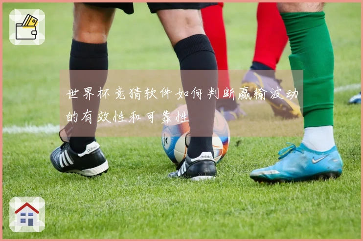 世界杯竞猜软件如何判断赢输波动的有效性和可靠性