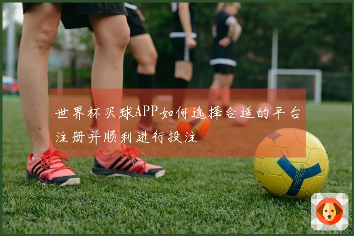 世界杯买球APP如何选择合适的平台注册并顺利进行投注