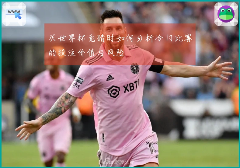 买世界杯竞猜时如何分析冷门比赛的投注价值与风险